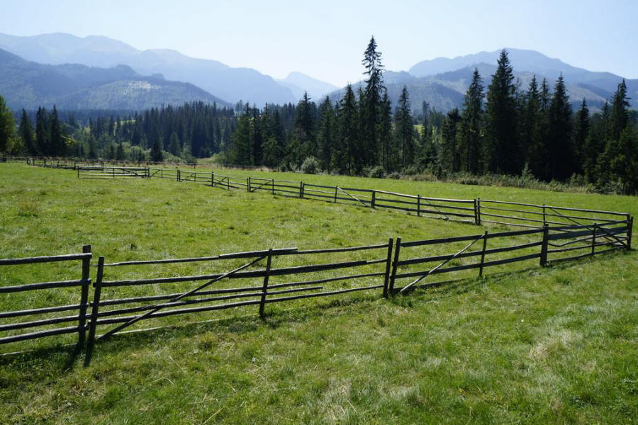 POD-SMERKIEM asunto 03